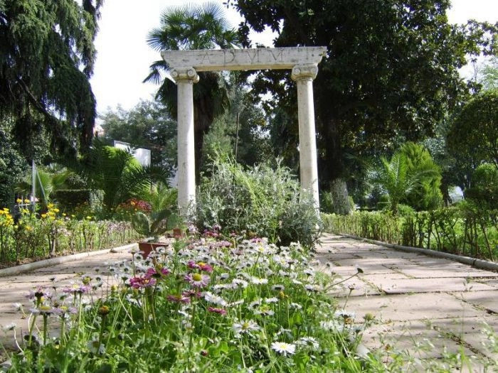 Тирана город