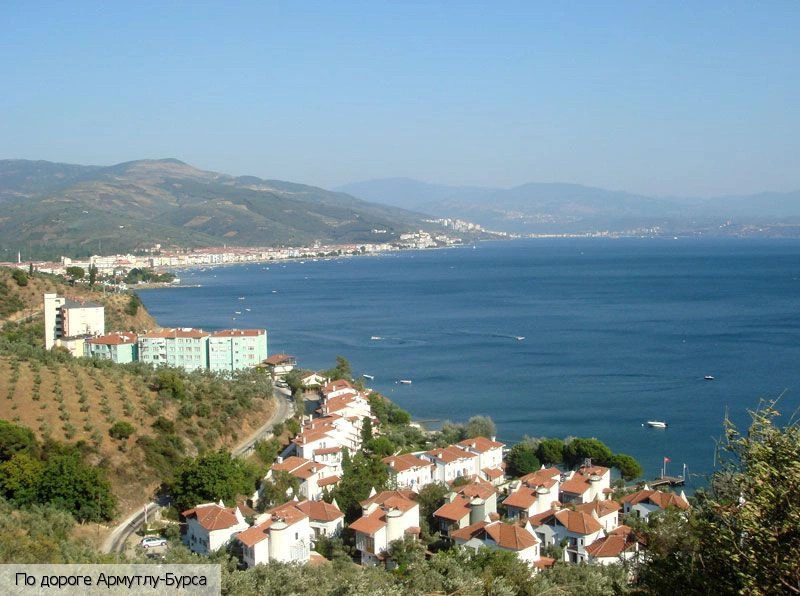 Ялова