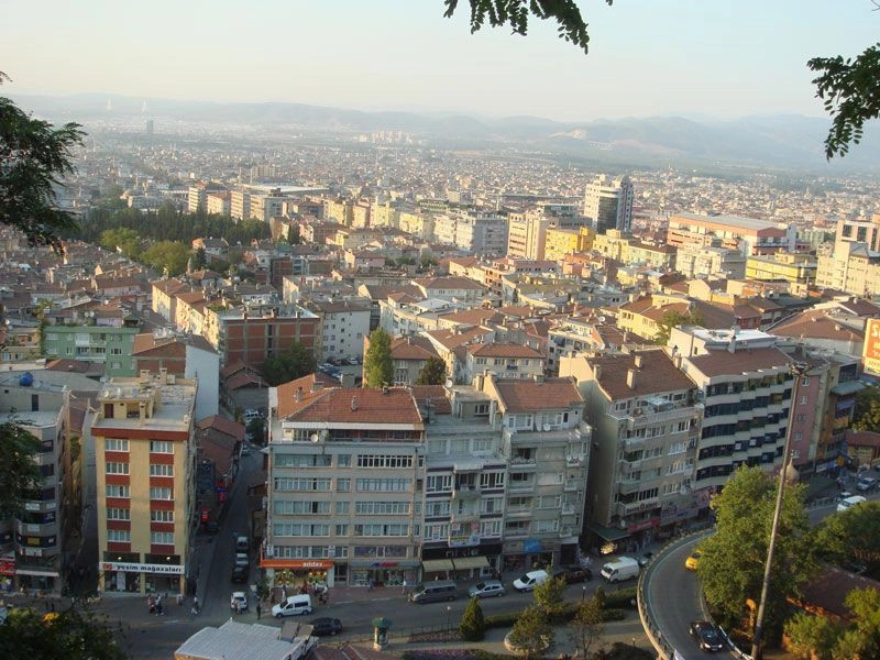 Бурса