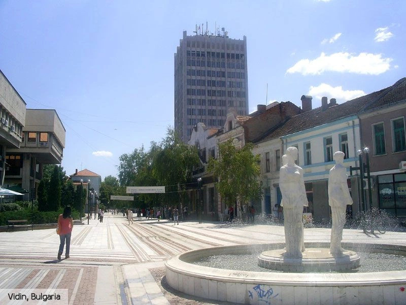 Видин