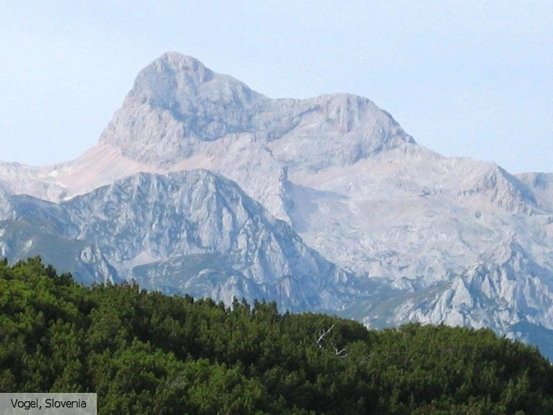 Вогель