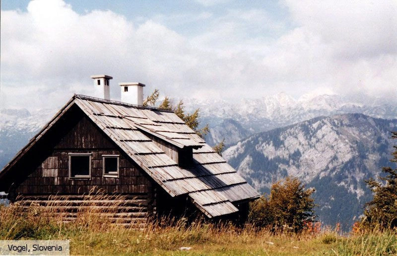 Вогель