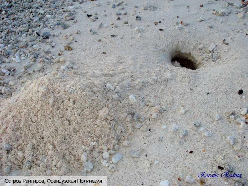 Рангироа