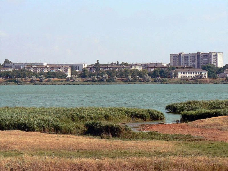 Саки