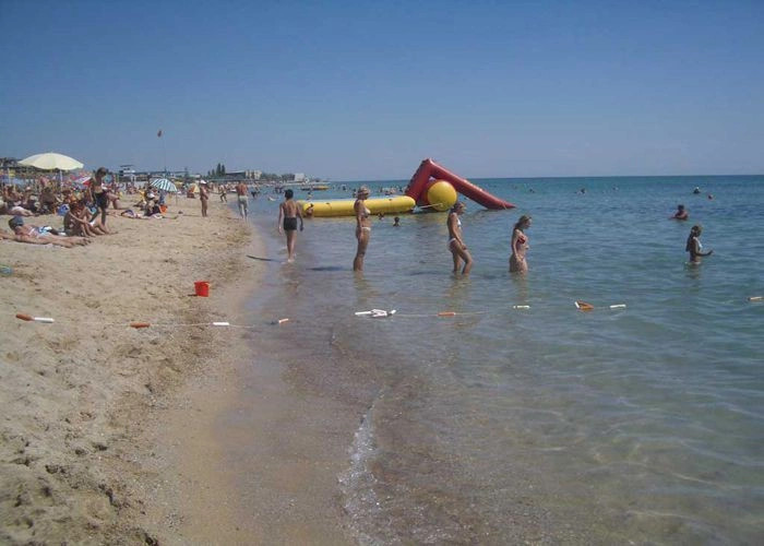 Саки