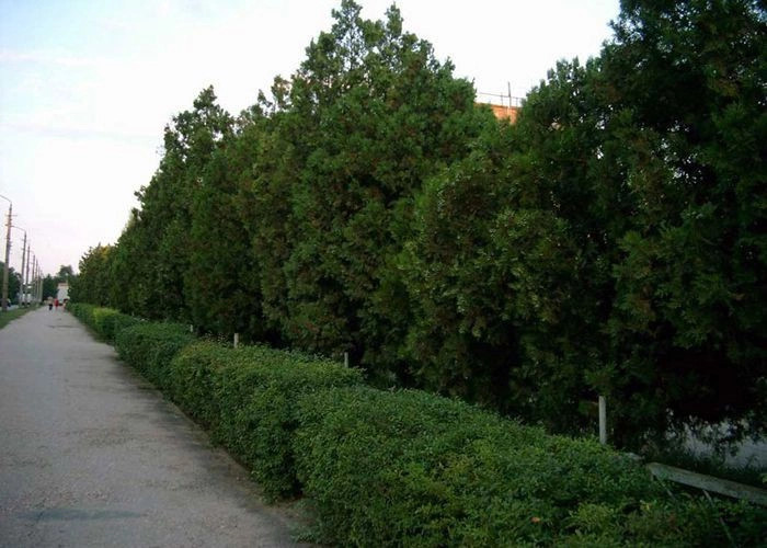 Евпатория