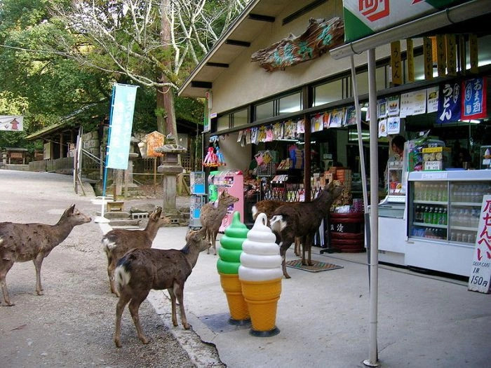 Нара
