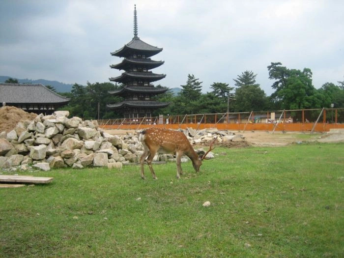 Нара