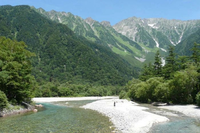 Камикоти
