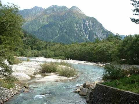 Камикоти
