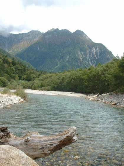 Камикоти