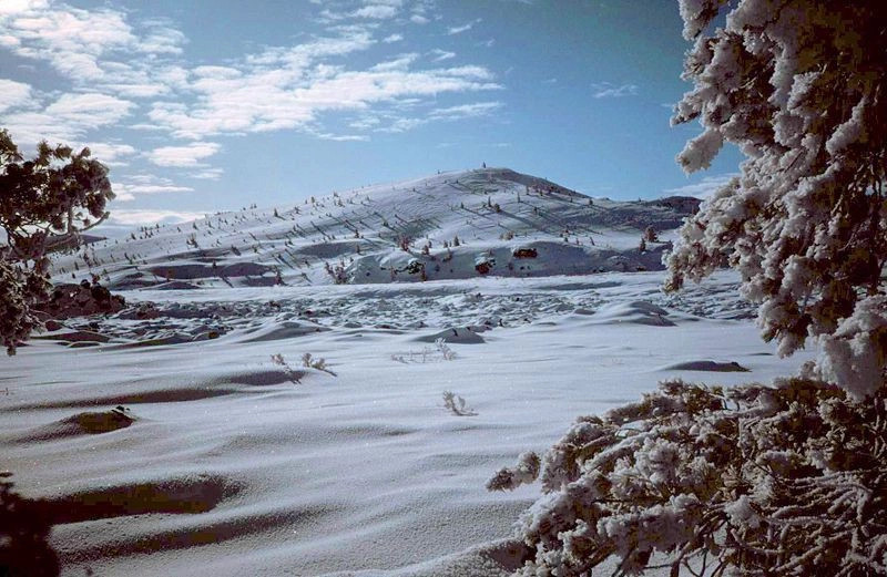 Айдахо