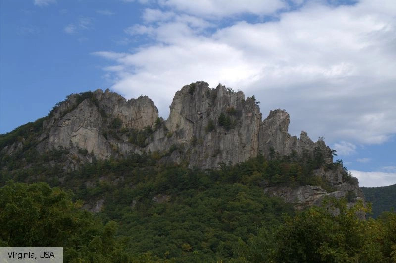 Виргиния