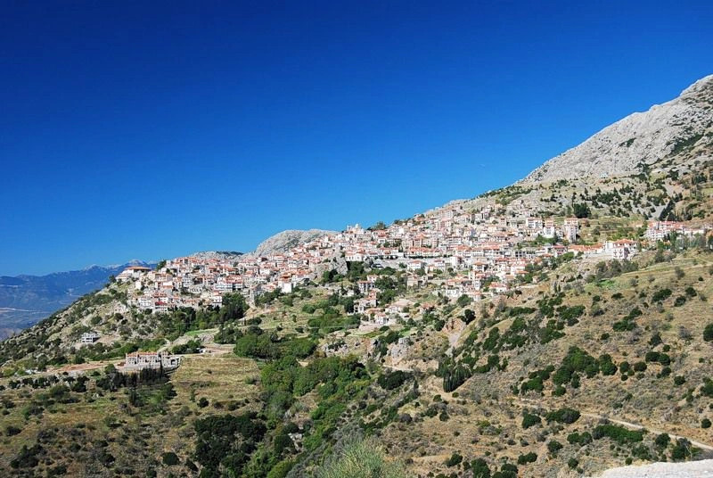 Арахова