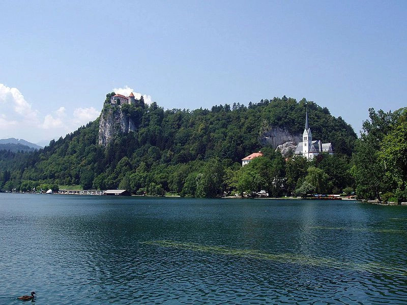 Блед (город)
