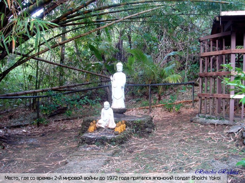 Талофофо