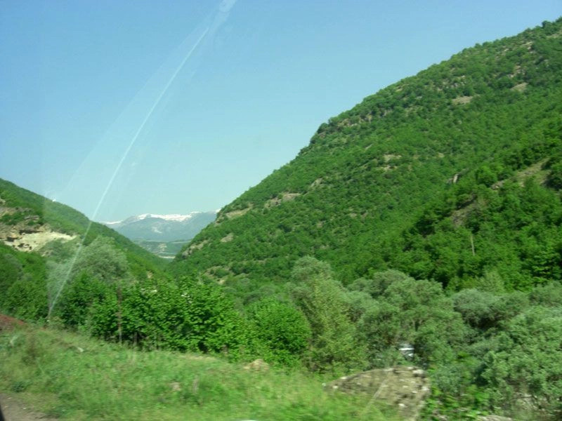 Корча город