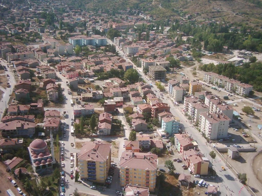Биледжик