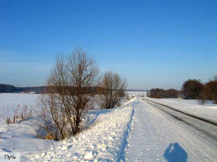Московская область