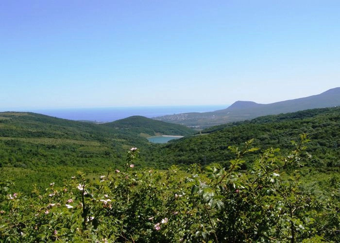 Алуштинский горсовет (Большая Алушта)