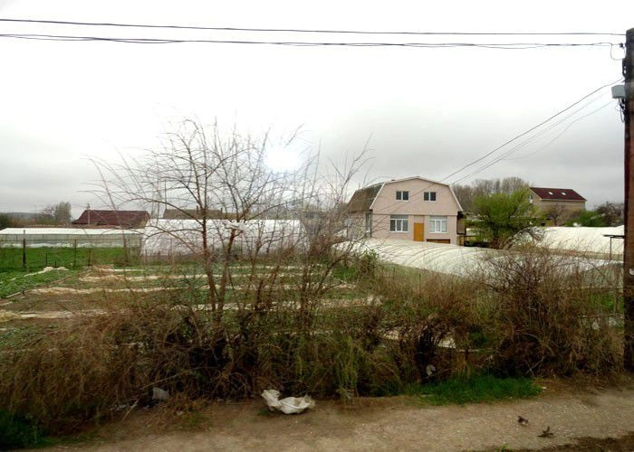 Вилино (Бурлюк)