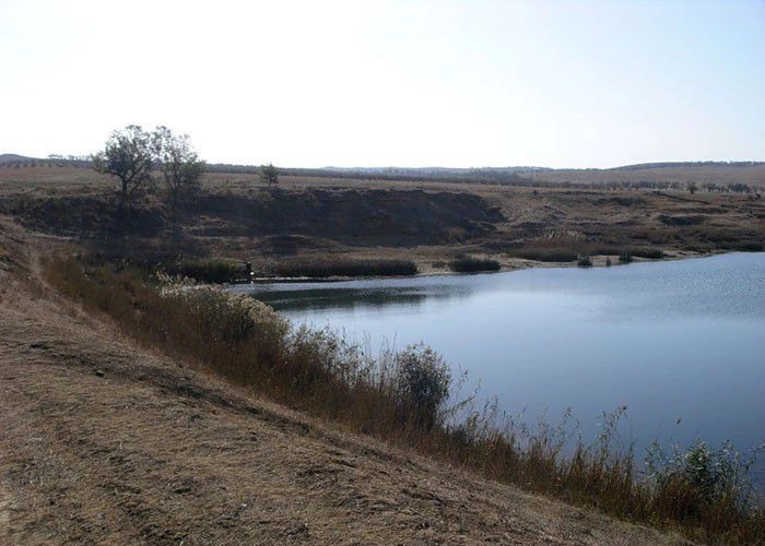 Вилино (Бурлюк)