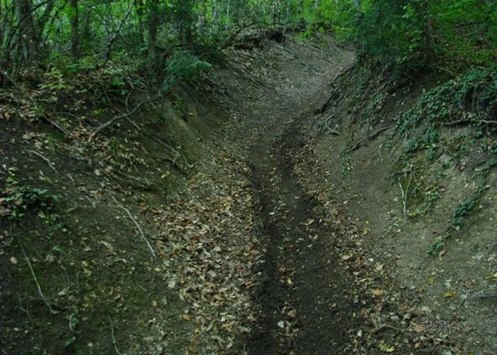 Куйбышево (Албат)