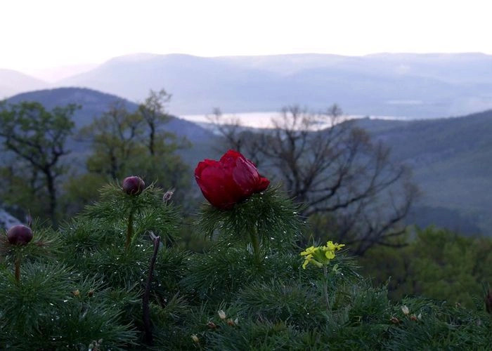 Куйбышево (Албат)