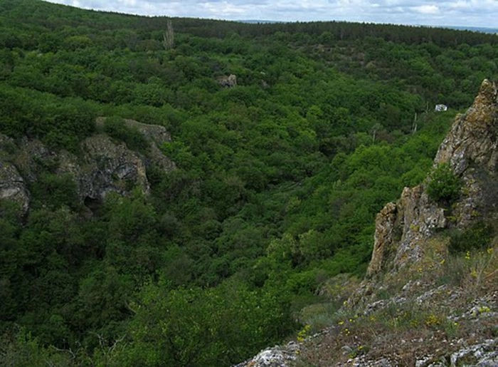 Карасёвка (Карасу-Баши)