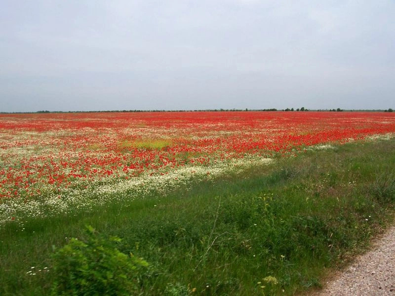 Азовское (Калай)