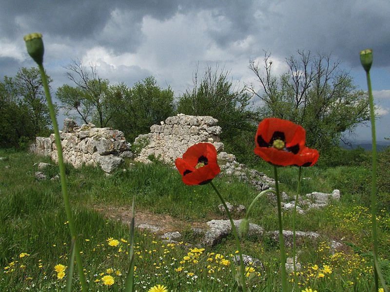 Весёлое (Джанк.)