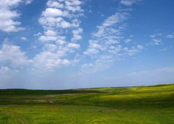 Весёлое (Джанк.)