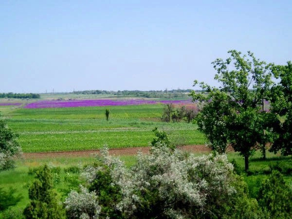 Весёлое (Джанк.)