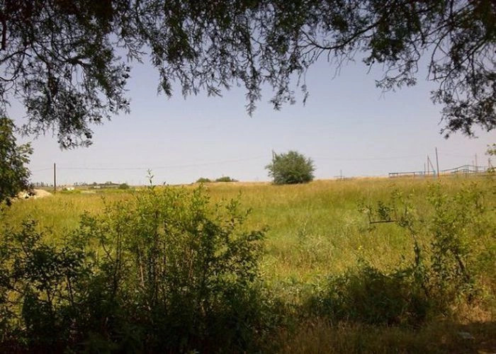 Виноградное (Чукул Русский)