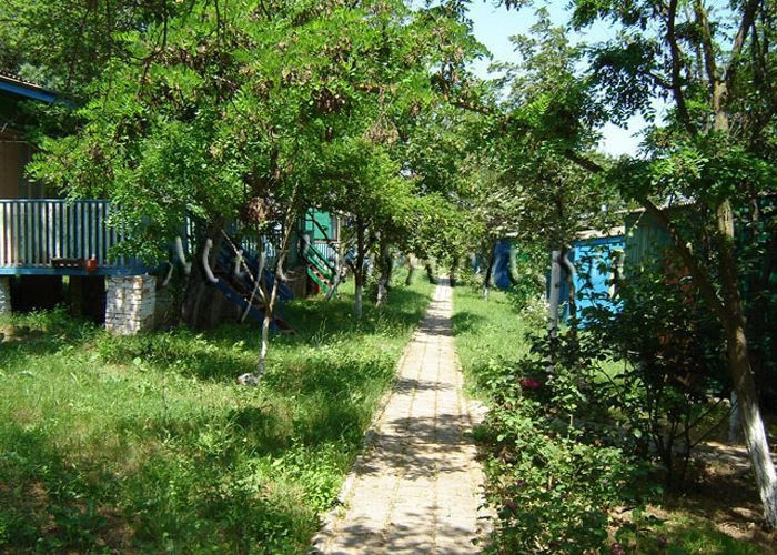 Осовины