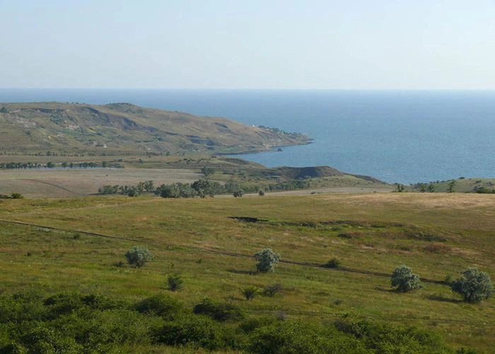 Осовины