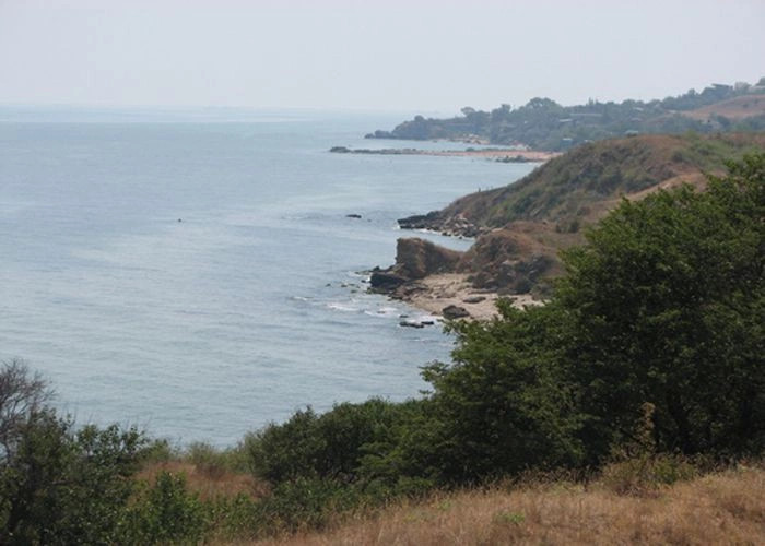 Осовины