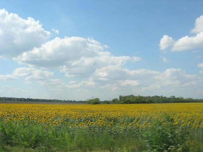 Первомайский район (Крым)