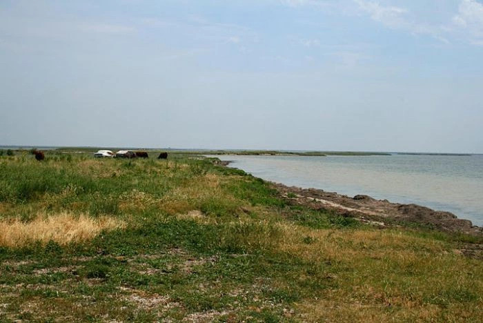 Аврора (Татыш-Конрат)