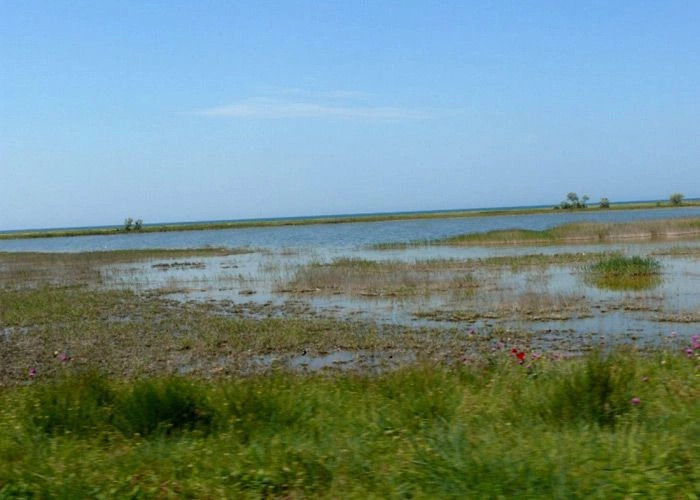 Витино (Аирча)