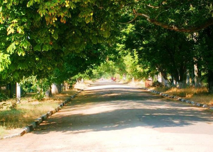 Фрунзе (Сакс.)