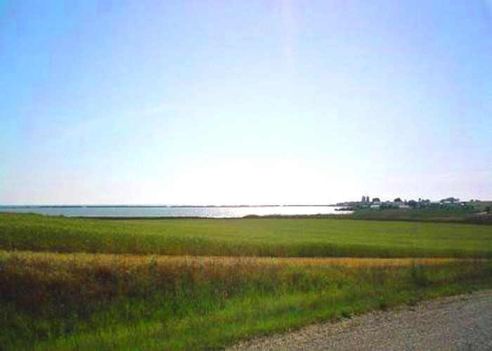 Фрунзе (Сакс.)