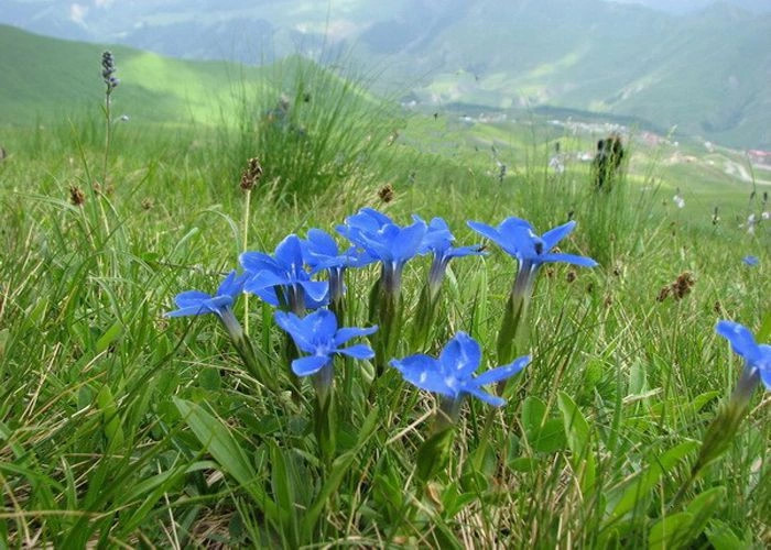 Перевальное (Ангара)