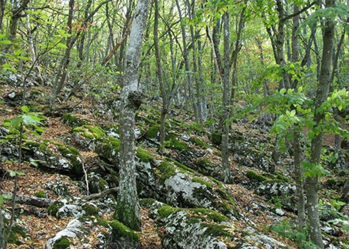 Перевальное (Ангара)