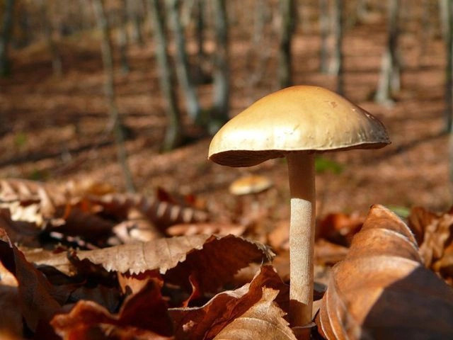 Перевальное (Ангара)