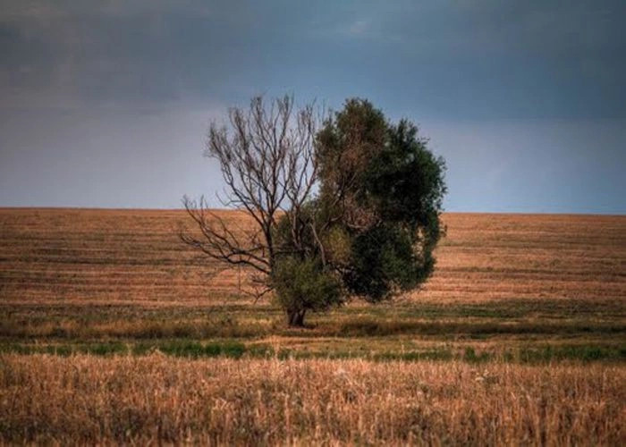 Александровка (Симфер.)