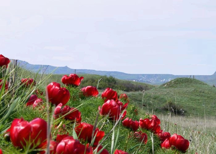 Александровка (Симфер.)