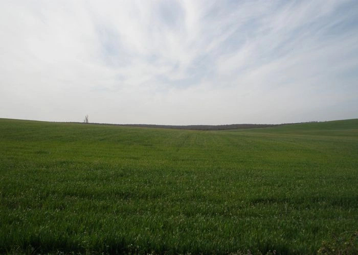 Александровка (Симфер.)