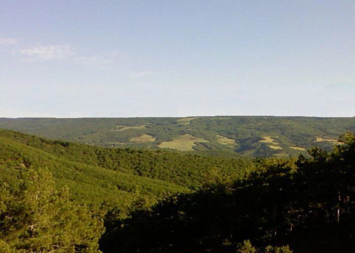Александровка (Симфер.)