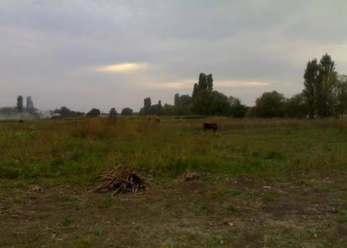 Александровка (Симфер.)